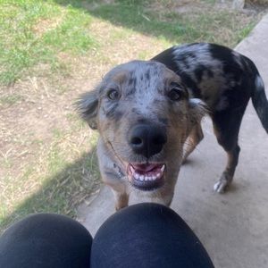 Meet your Posher, Cameron